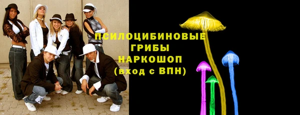 мдпв Нягань