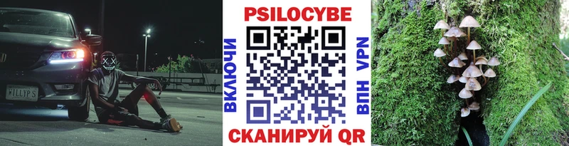 Галлюциногенные грибы GOLDEN TEACHER  Костомукша 