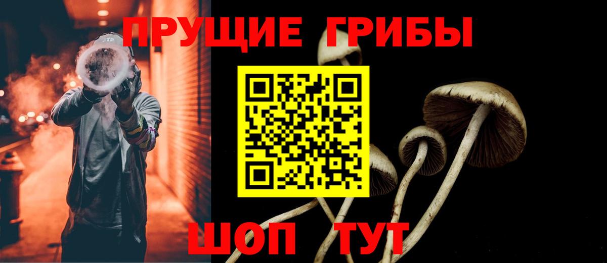 Костомукша  Псилоцибиновые грибы MAGIC MUSHROOMS  Вход с VPN 
